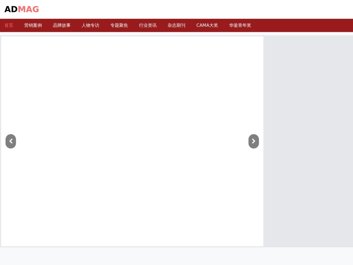 网站截图