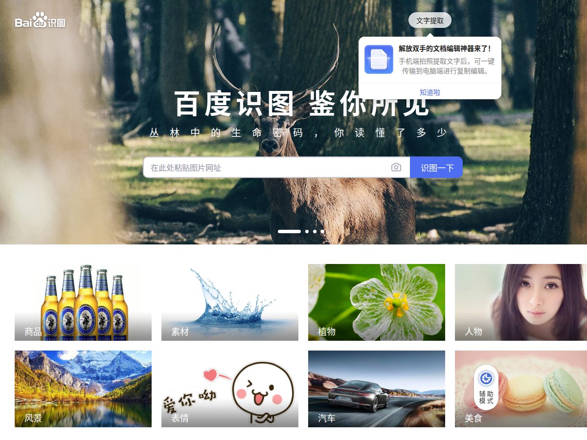 网站截图